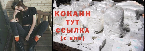 МДПВ Абаза