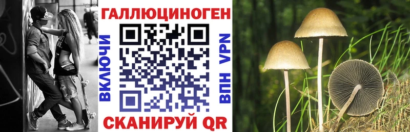 Галлюциногенные грибы ЛСД  где купить наркоту  Новокузнецк 