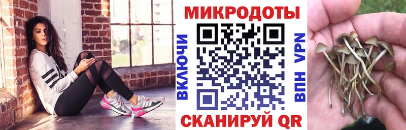 Псилоцибиновые грибы Cubensis Новокузнецк