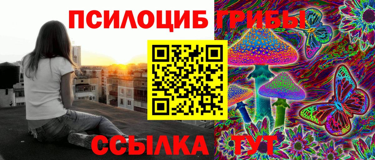 Псилоцибиновые грибы мухоморы  Вход с VPN  Новокузнецк 