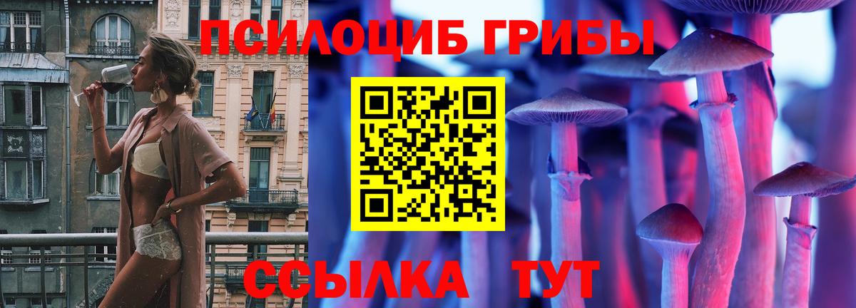 Галлюциногенные грибы Magic Shrooms Новокузнецк
